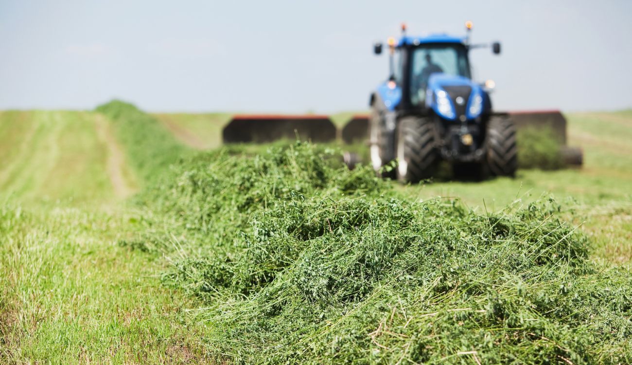 hay cutting ireland