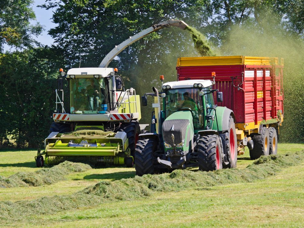 summer grass cutting on irish farm