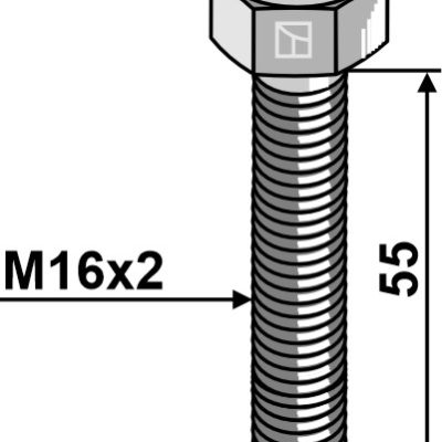 Bolt M16 x 55