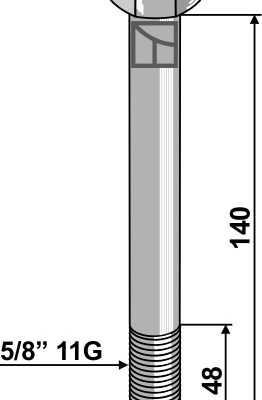 Bolt 5/8'' 11G