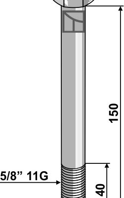 Bolt 5/8'' 11G