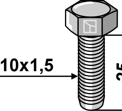 Hexagon bolt M10x1,5x25 without nut - galvanized