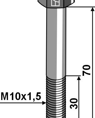 Hexagon bolt M10x1,5x70 without nut