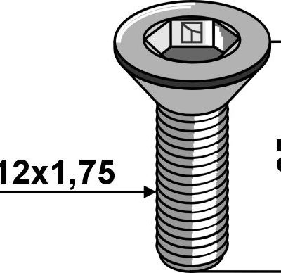 Hexagon socket screw