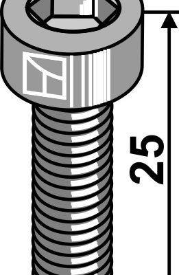 Hexagon socket bolt M12x1,75x25