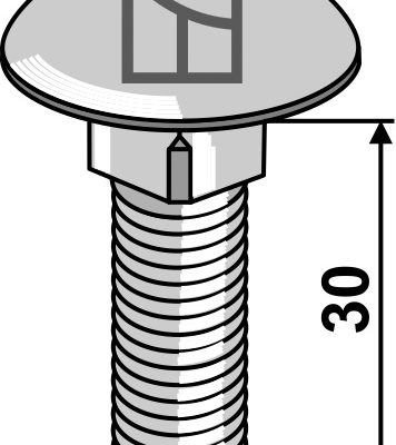 Saucer-head screw M12x1,75x30 - galvanized