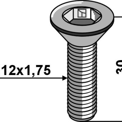 Hexagon socket screw