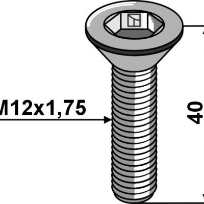 Hexagon socket screw