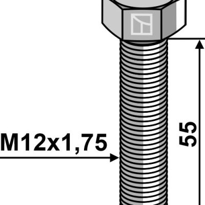 Hexagon bolt M12x1,75x55 without nut
