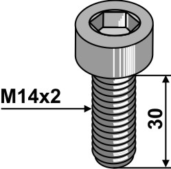 Hexagon socket bolt - M14x2 - 10.9