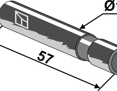 Pin
