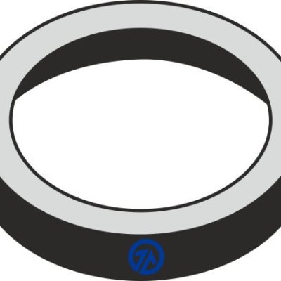 Dust seal
