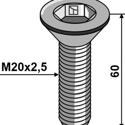 Hexagon socket screw