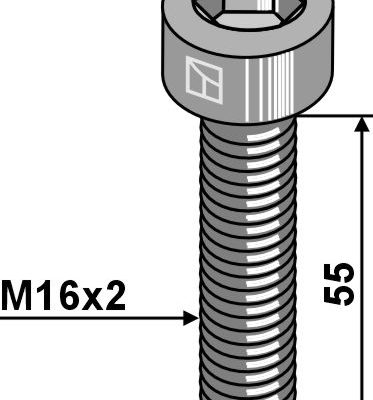 Hexagon socket bolt - M16x2x55 - 12.9