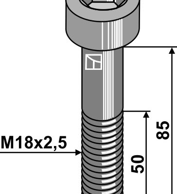 Hexagon socket bolt - M18x2,5 - 10.9