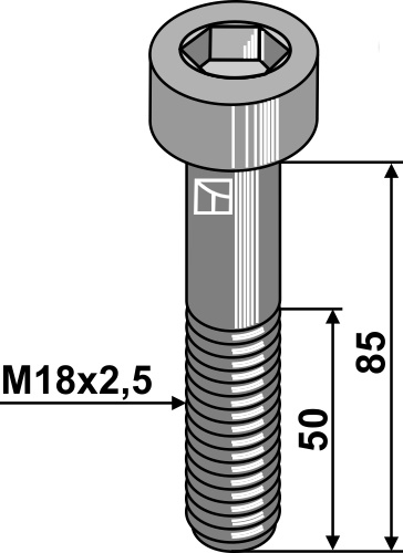 Hexagon socket bolt - M18x2,5 - 10.9
