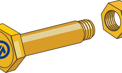 Bolt with self-locking nut
