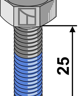 Security bolt