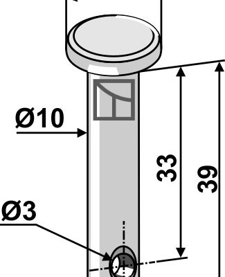 Pin