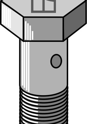 Bolt for pipe connection