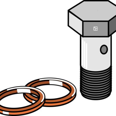 Bolt for pipe connection with seals