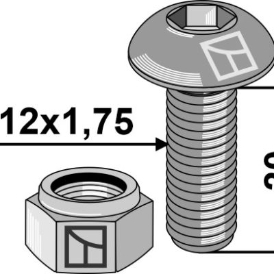 Saucer-head screw with hexagon socket M12x1,75x20 - galvanized - with nut