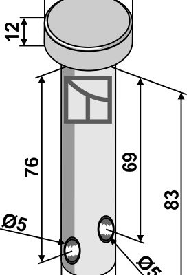 Pin