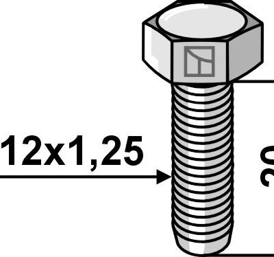 Bolt M12x1,25 - Galvanized - 10.9