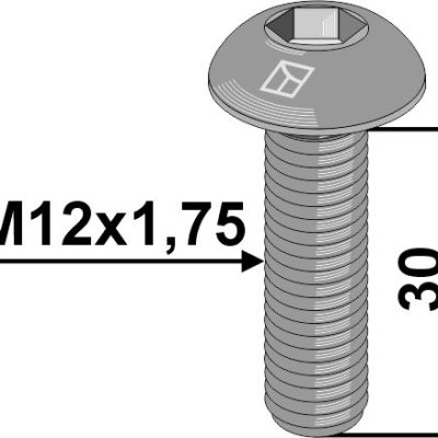 Hexagon socket bolt M12x1,75x30 - Galvanized