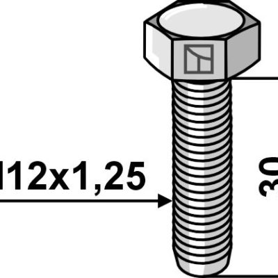 Bolt M12x1,25 - Galvanized - 10.9