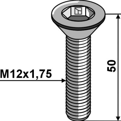 Hexagon socket screw - Galvanized