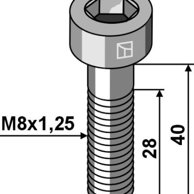 Hexagon socket bolt M8x1,25x40 - Galvanized